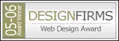 custom web connections wins design firms award